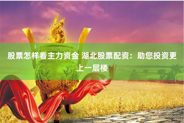 股票怎样看主力资金 湖北股票配资：助您投资更上一层楼